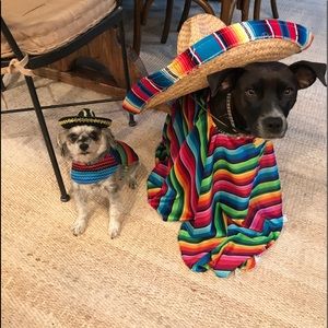 Meet your Posher, Lani